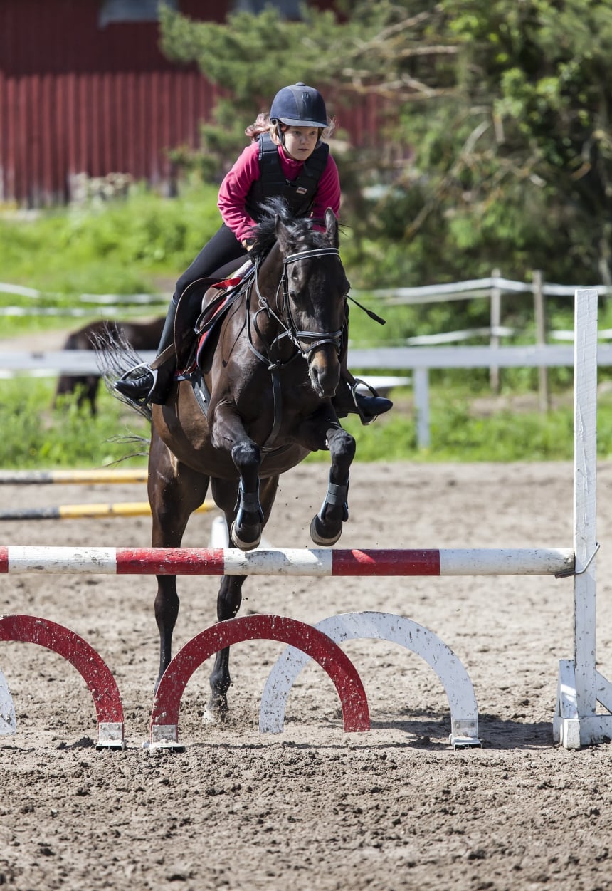 Horse Show Management
